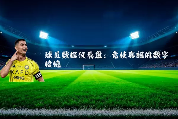球员数据仪表盘:竞技真相的数字棱镜