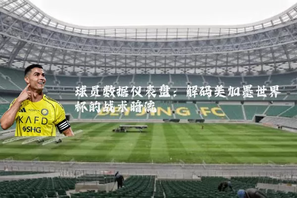 球员数据仪表盘：解码美加墨世界杯的战术暗流